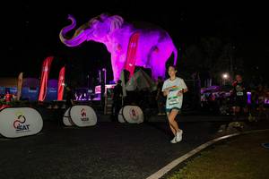 BIB: 
                            <button type="button" onclick="openModal(26534953)" class="btn btn-primary btn-sm float-right btn-popup" data-toggle="modal" data-target=".modal-high-quality">
                        <i class="fas fa-shopping-cart"></i> Add to Cart
                    </button>
                                            <button type="button" onclick="isThisMe(26534953, true)" class="btn btn-success btn-sm float-right btn-popup btn-isme hidden" data-toggle="tooltip" data-placement="bottom" title="นี่คือรูปของคุณใช่ไหม คลิกที่นี่เพื่อเอาเข้าอัลบั้ม">
                        <i class="fas fa-plus"></i> Add to album
                    </button>
                    <button type="button" onclick="isThisMe(26534953, false)" class="btn btn-warning btn-sm float-right btn-popup btn-isnotme hidden">
                        <i class="fas fa-ban"></i> Remove from album
                    </button>